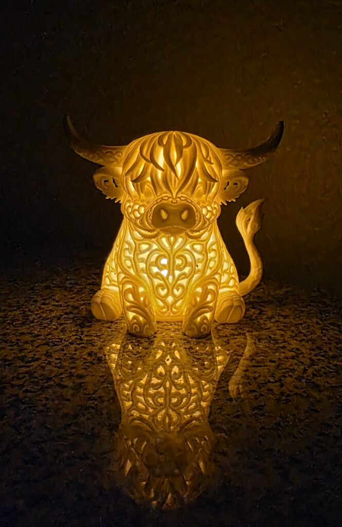 Highland Glow Cow
