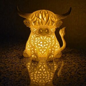 Highland Glow Cow