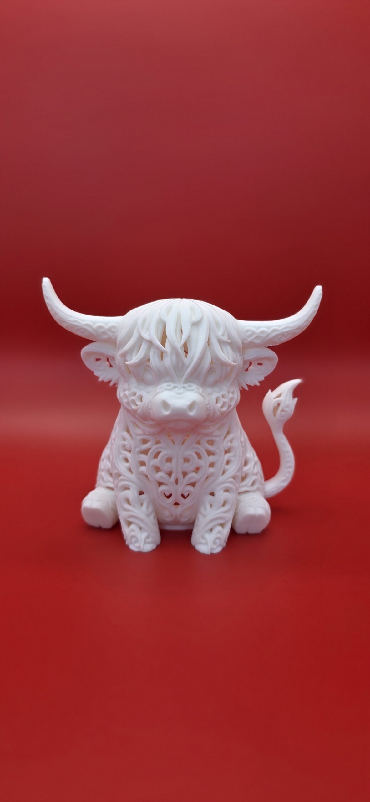 Highland Glow Cow - Image 5